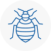 Bed Bug Extermination In Turnham Green