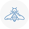 Bee Nest Removal Turnham Green