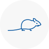 Mice Exterminators In Turnham Green