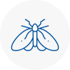 Moth Control Specialists In Turnham Green