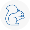 Turnham Green Rodent Removals